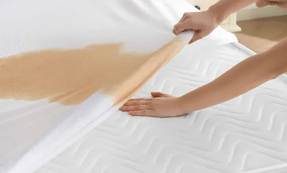Bamboo Sleep Saver: Mattress Protector   2 Foam Pillows