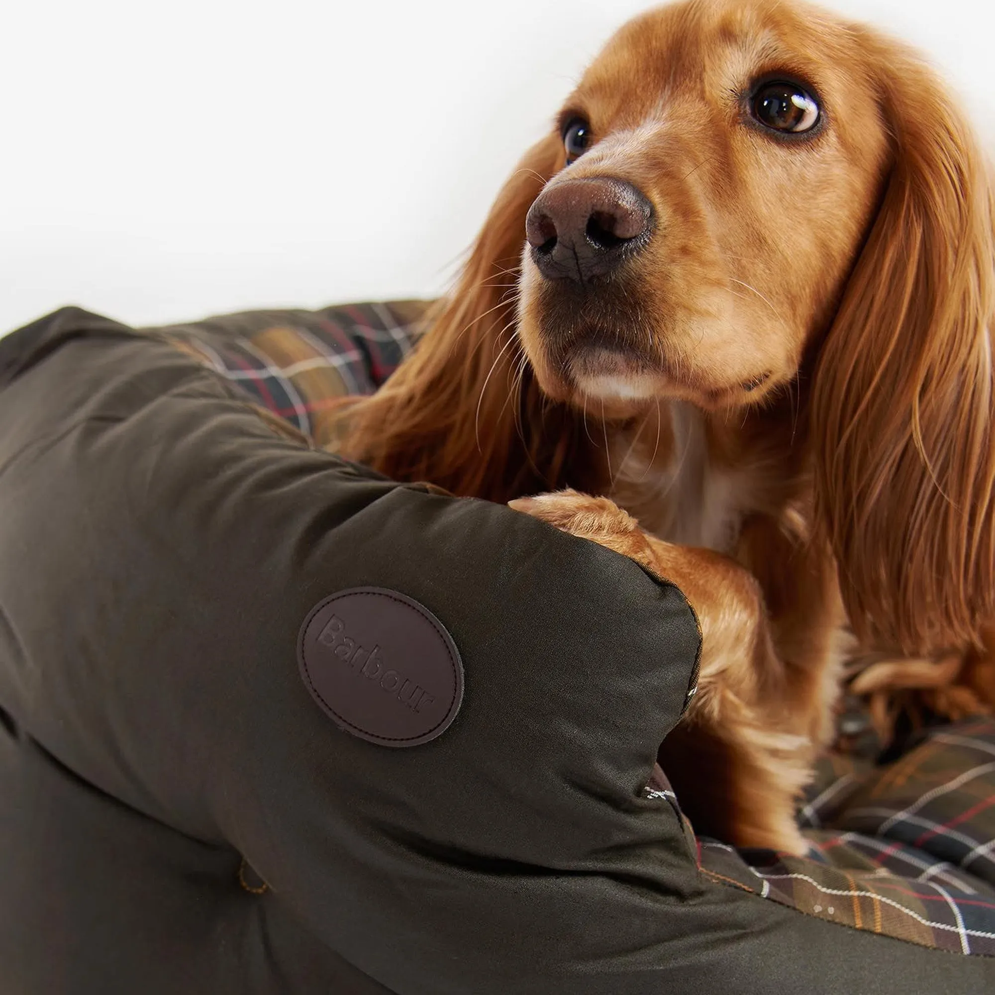 Barbour Wax/Cotton Dog Bed - Classic/Olive