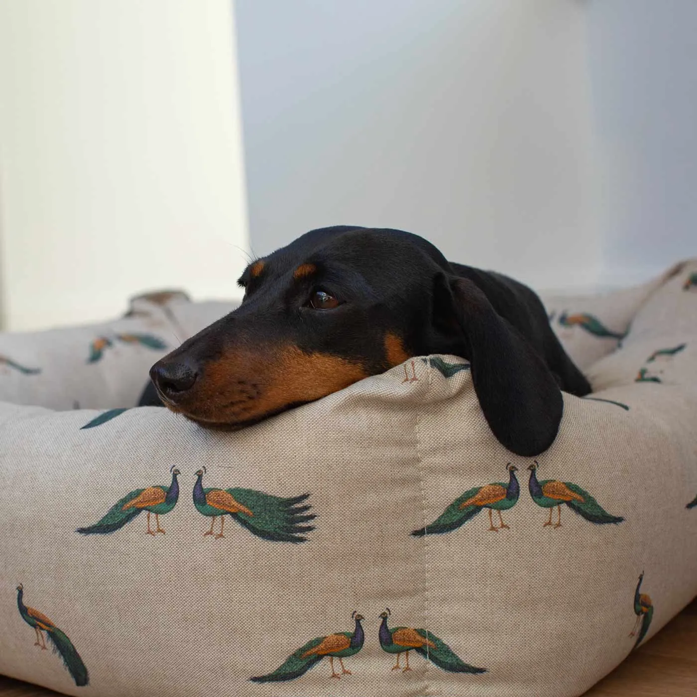 Box Bed For Dogs in Woodland Peacock by Lords & Labradors