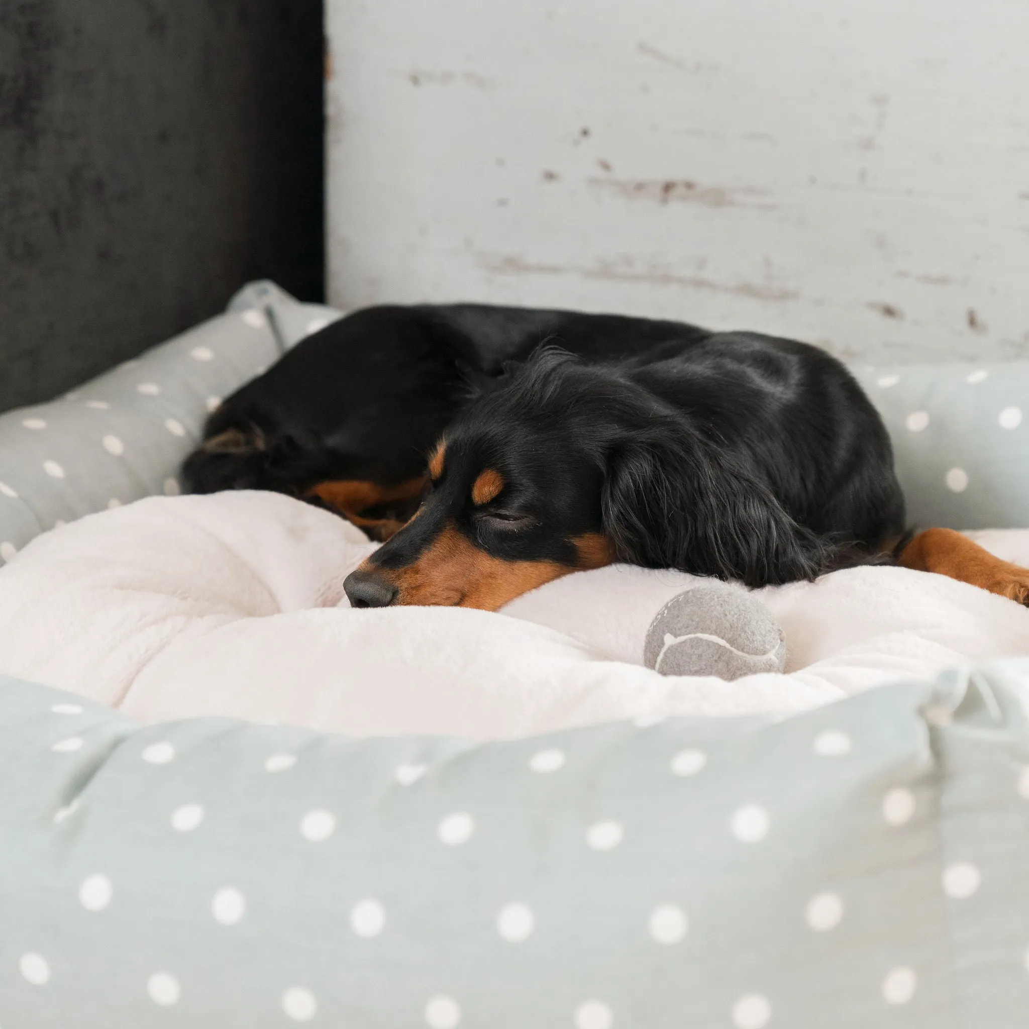 Box Bed in Duck Egg Spot by Lords & Labradors