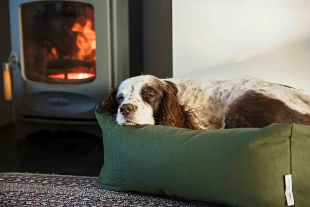 Burnham Bolster Dog Bed - Olive - Various Sizes