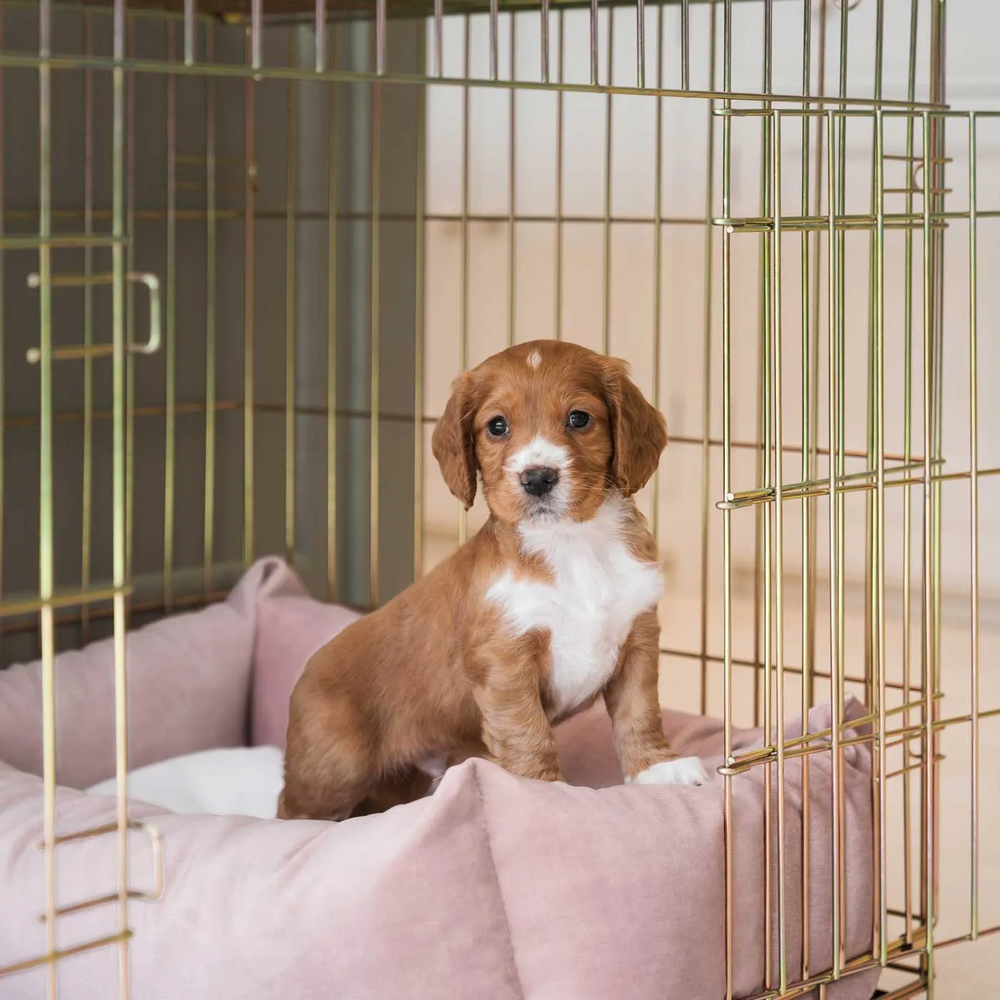 Cosy & Calming Puppy Crate Bed With Removable Covers In Blossom Velvet by Lords & Labradors