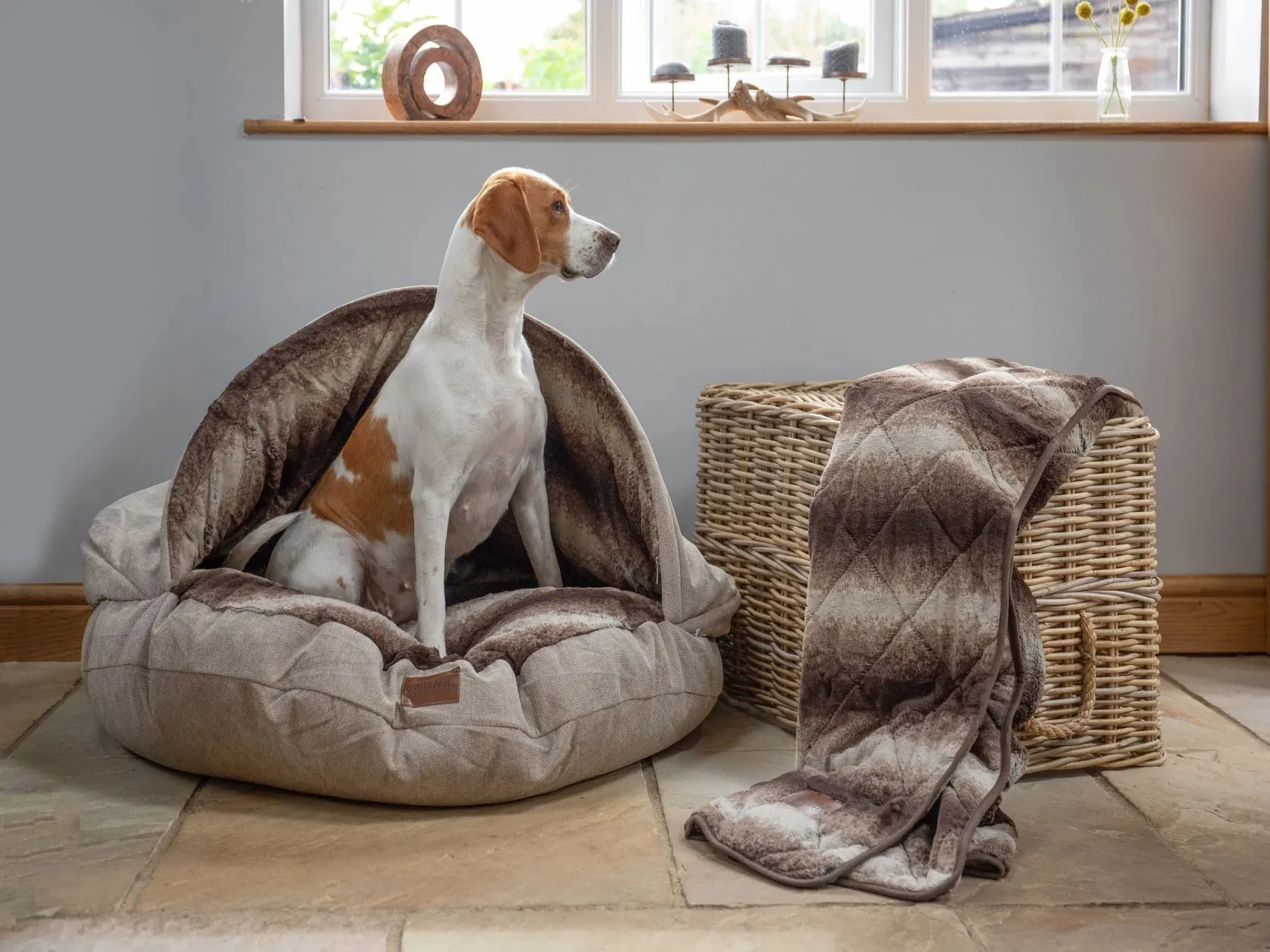 Dog Cave Bed. Discontinued model.