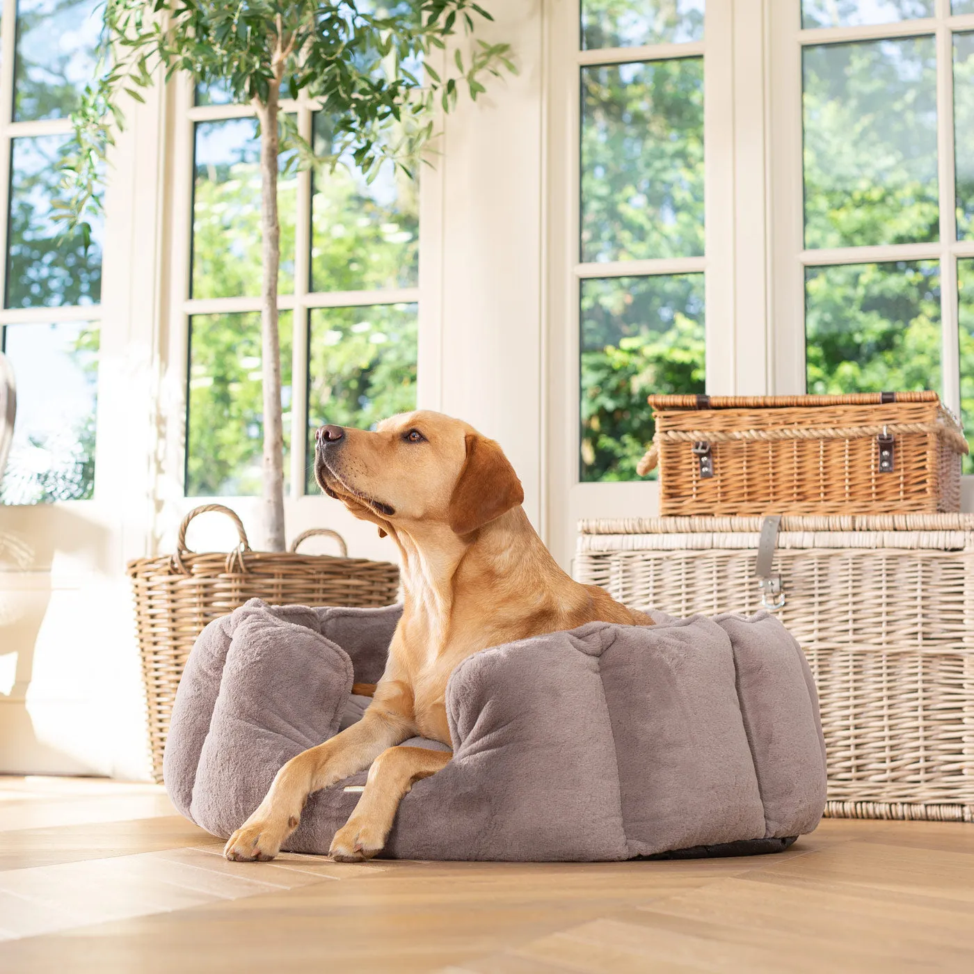 High Wall Bed in Calming Anti-Anxiety Fawn Faux Fur by Lords & Labradors