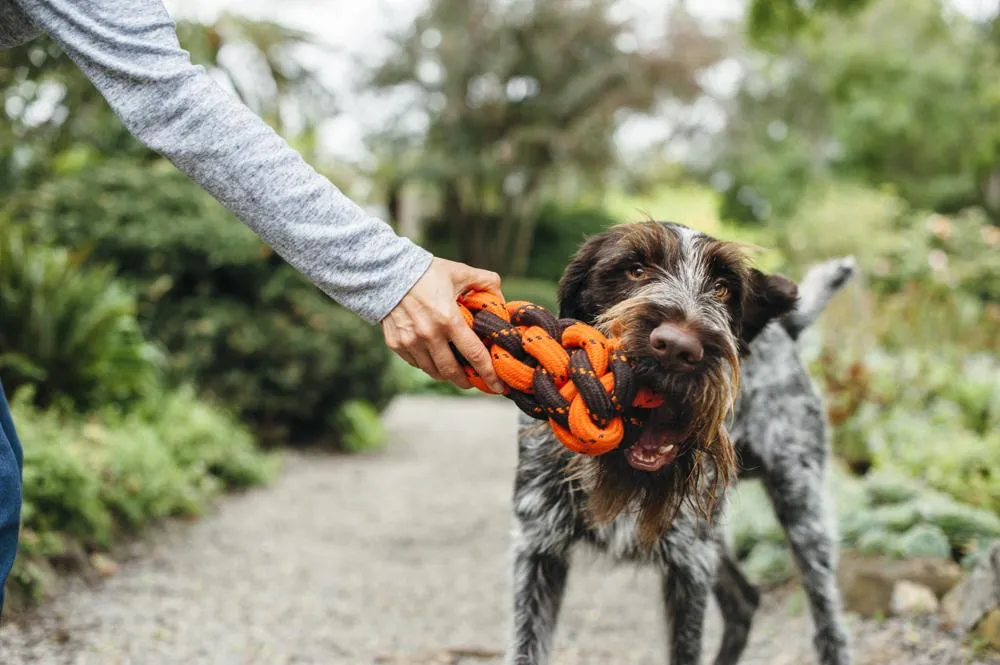 Honeycomb Rope Toy