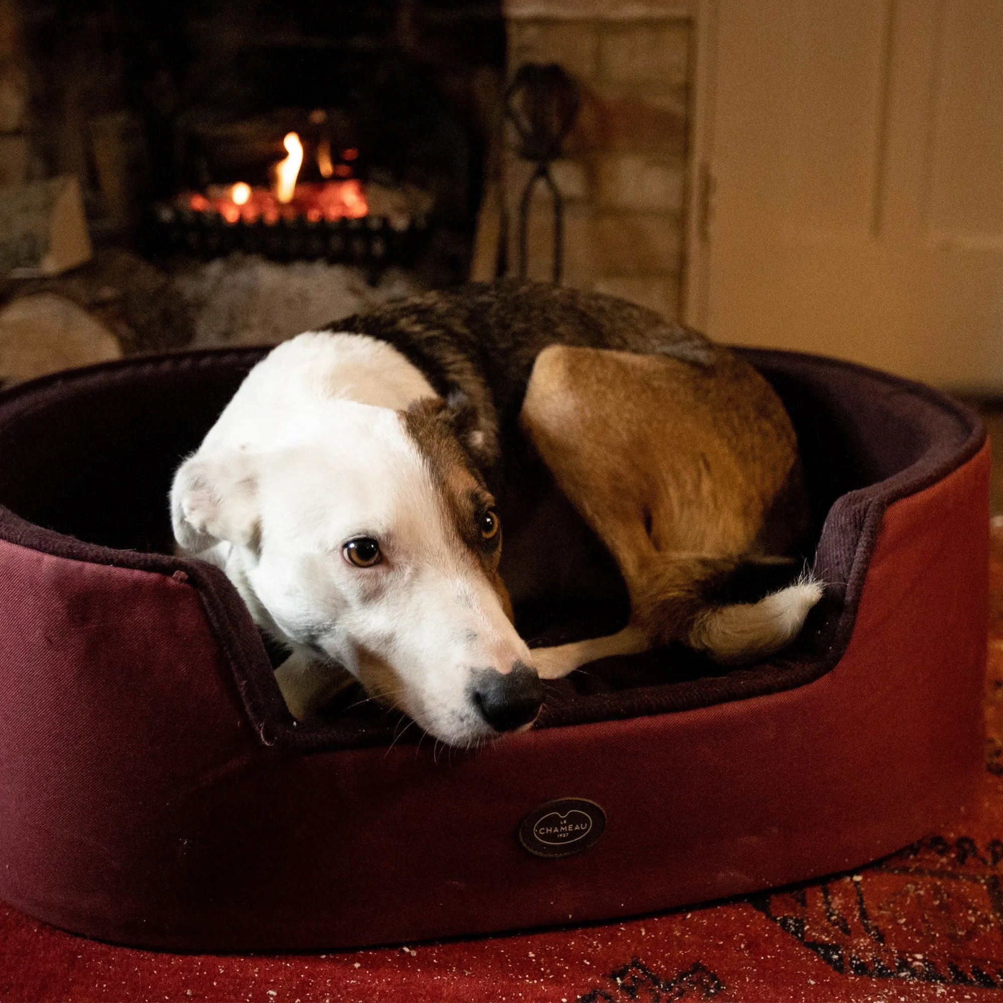 Le Chameau Dog Bed