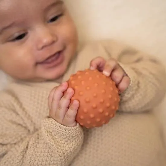 Little Dutch Sensory Balls Set – Little Farm