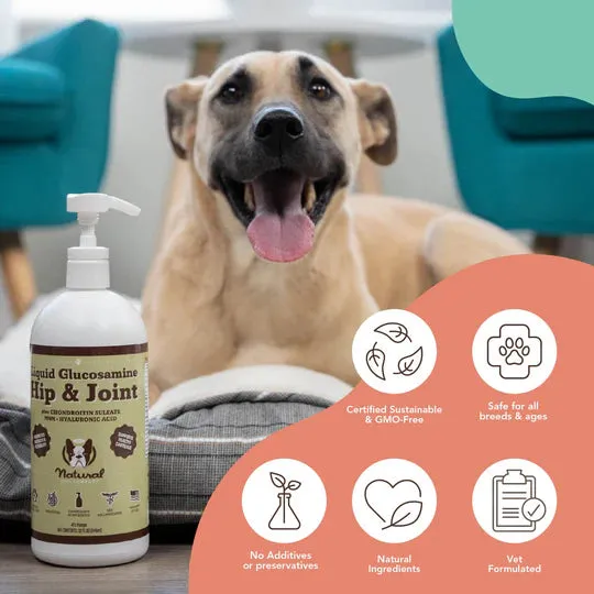 Natural Dog Company Hip & Joint (Liquid Glucosamine) Dog Supplements - Wholesale