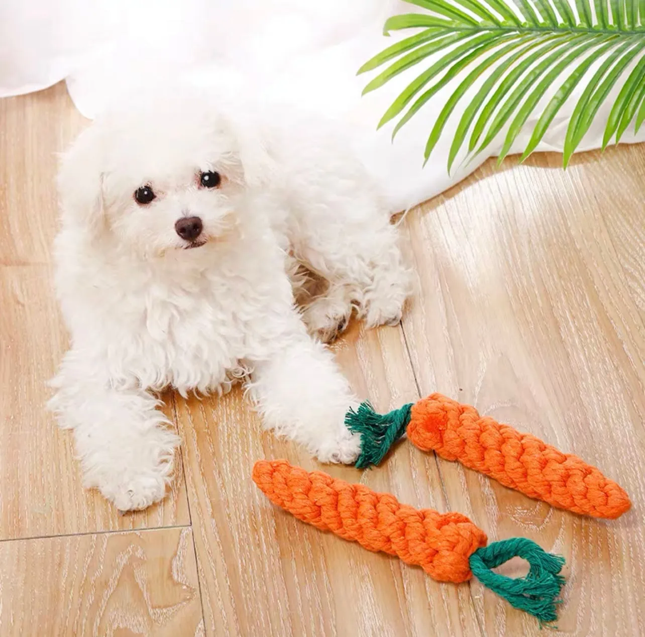 Rope Dog Toys, Fun Chewing, Teething & Training Toys, 100% Cotton - Carrot