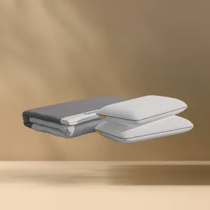 Sleep Saver: Mattress Protector   2 Foam Pillows