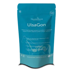 Thunderbrook Ulsagon
