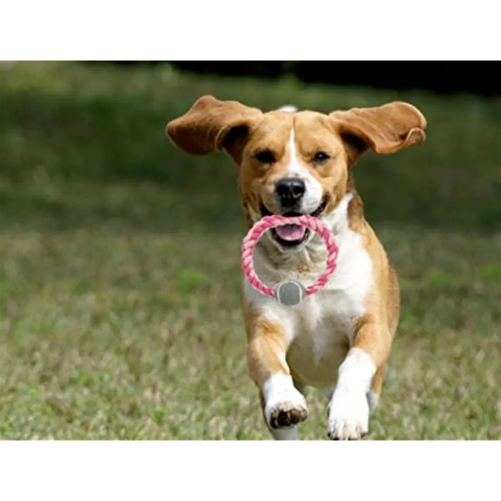 Trixie Rope Ring with Tennis Ball Toy for Dogs (Pink) | For Medium Chewers